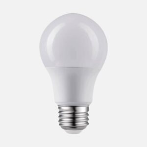 A19 Light Bulb