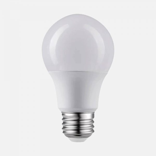 A19 Light Bulb