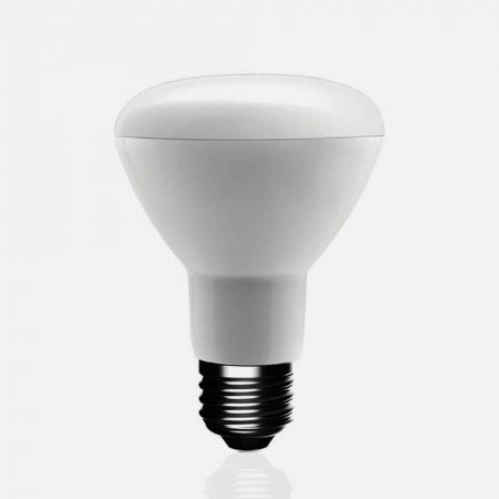 Br20 Light Bulb