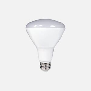 Br30 Light Bulb