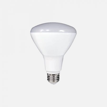 Br30 Light Bulb