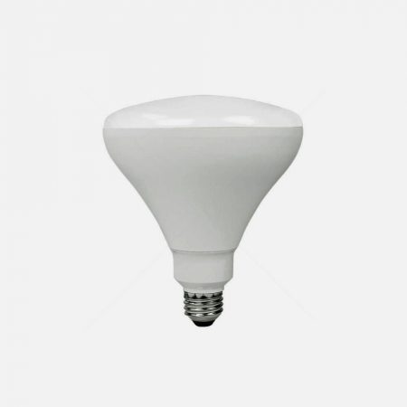 Br40 Light Bulb