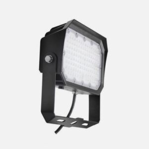 Led Flood Light 30w 100w