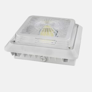 Packing Garage Led Canopy Llight